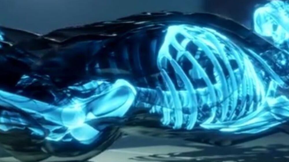 Virtual Atopsies